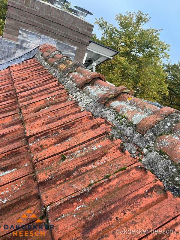 Verweerd hellend dak met mosgroei op nokvorst in Heesch Verweerd hellend dak met mosgroei op nokvorst in Heesch