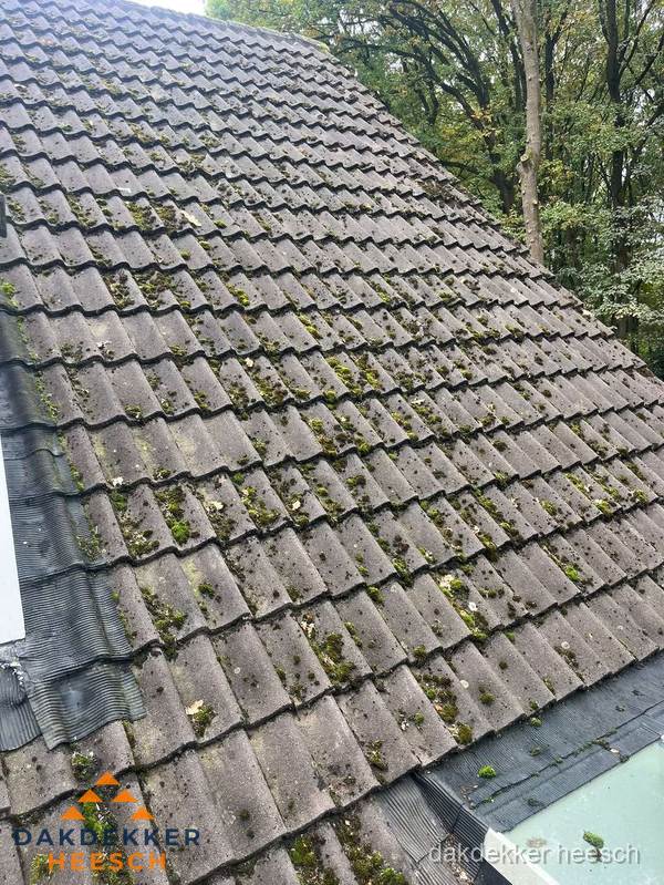 Verweerd pannendak met mosgroei dat renovatie nodig heeft in Heesch Verweerd pannendak met mosgroei dat renovatie nodig heeft in Heesch