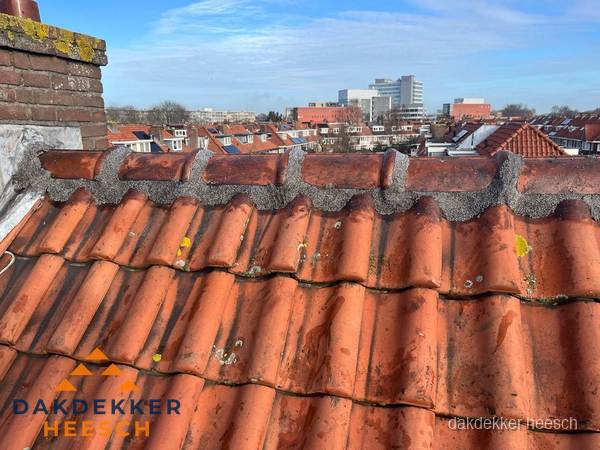 Pannendak met nokvorst en schoorsteen, dakrenovatie in Heesch Pannendak met nokvorst en schoorsteen, dakrenovatie in Heesch
