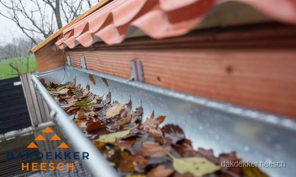 Dakgoot vol bladeren die gereinigd moet worden in Heesch