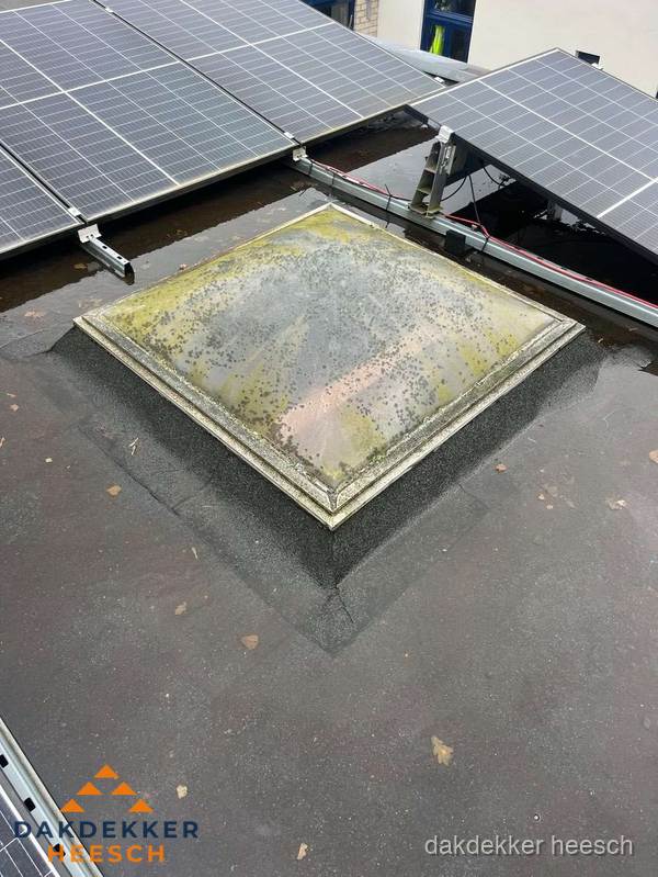Vervuilde lichtkoepel op plat dak met zonnepanelen in Heesch Vervuilde lichtkoepel op plat dak met zonnepanelen in Heesch