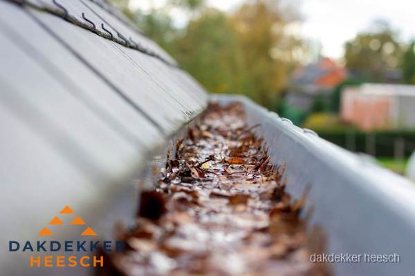 Verstopte dakgoot met bladeren schoonmaken in Heesch Verstopte dakgoot met bladeren schoonmaken in Heesch